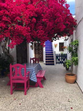 ANDALUZ LIVING - Traditional andalusian house, casa de vecinos